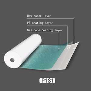 Giấy chống dính silicone Glassine Release Paper 1S